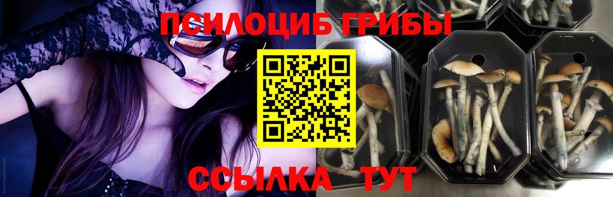 Галлюциногенные грибы GOLDEN TEACHER Нурлат